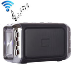 Altoparlante Wireless Portatile LN-22 con luci LED colorate