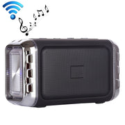 Altoparlante Wireless Portatile LN-22