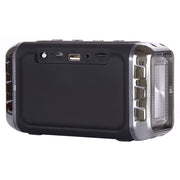 Altoparlante Wireless Portatile LN-22