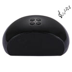 Altoparlante Bluetooth con Microfono Integrato e FM