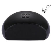 Altoparlante Bluetooth con Microfono Integrato
