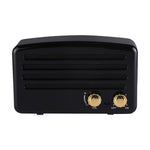 Altoparlante Bluetooth con microfono e radio FM
