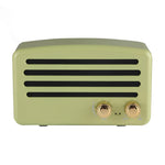 Altoparlante Bluetooth con microfono e radio FM