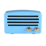 Altoparlante Bluetooth con microfono e radio FM