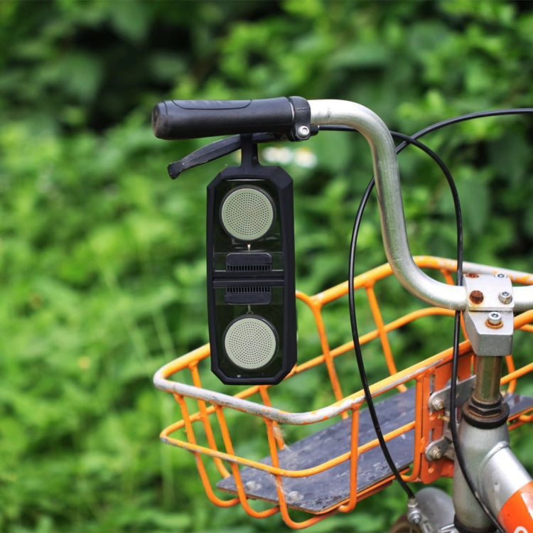 BTS-628 Altoparlante Bluetooth 4.2 trasparente con funzione TWS