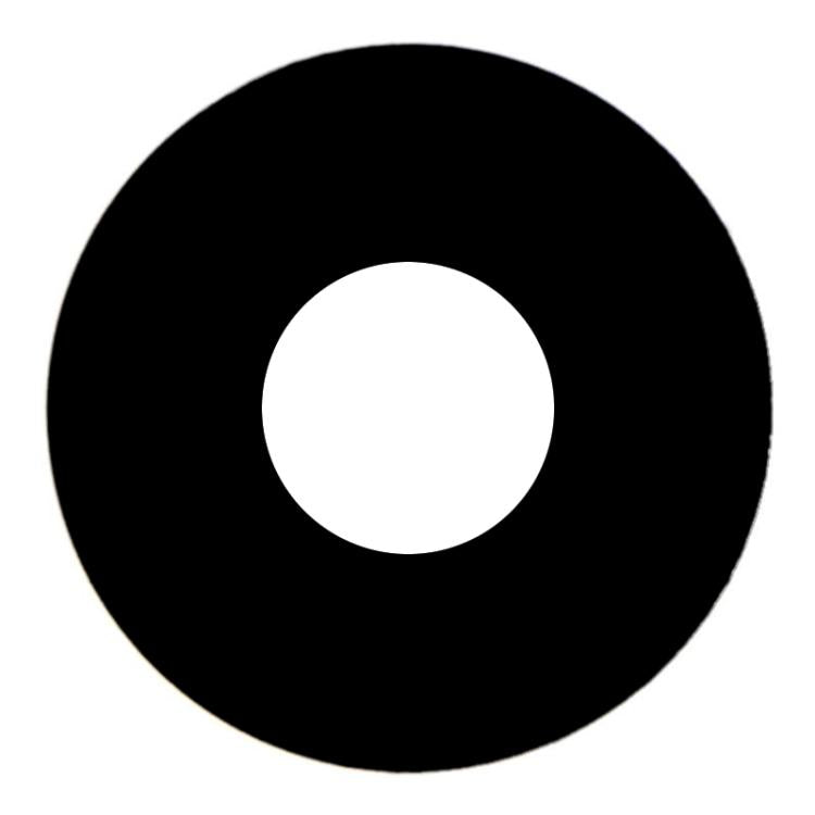 Obiettivo della fotocamera posteriore per iPad mini 6 2021, For iPad mini 6 2021