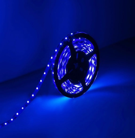 Striscia LED 12V 5m luce blu 4.8W/m 6970233833321 5501070 N210