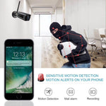 Telecamera IP WiFi Paladin 720P HD con visione notturna