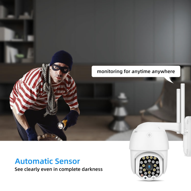 Telecamera IP WiFi QX18 1080P con visione notturna