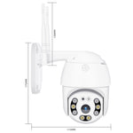 Telecamera IP WiFi QX21 1080P con visione notturna