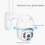 Telecamera IP WiFi QX21 1080P con visione notturna