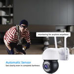 Telecamera IP wireless 1080P con rilevamento movimento e visione