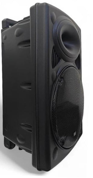 Cassa acustica amplificata 12” con microfono e telecomando Bluetooth/Radio FM 8055598010087 ND-12
