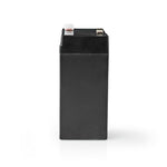 Batteria al piombo ricaricabile Piombo-acido ricaricabile 6V  4500mAh BALA45006V 5412810284122 ND1077