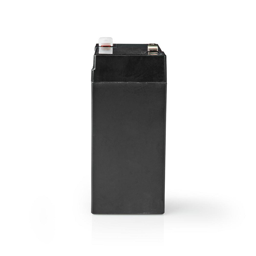 Batteria al piombo ricaricabile Piombo-acido ricaricabile 6V  4500mAh BALA45006V 5412810284122 ND1077