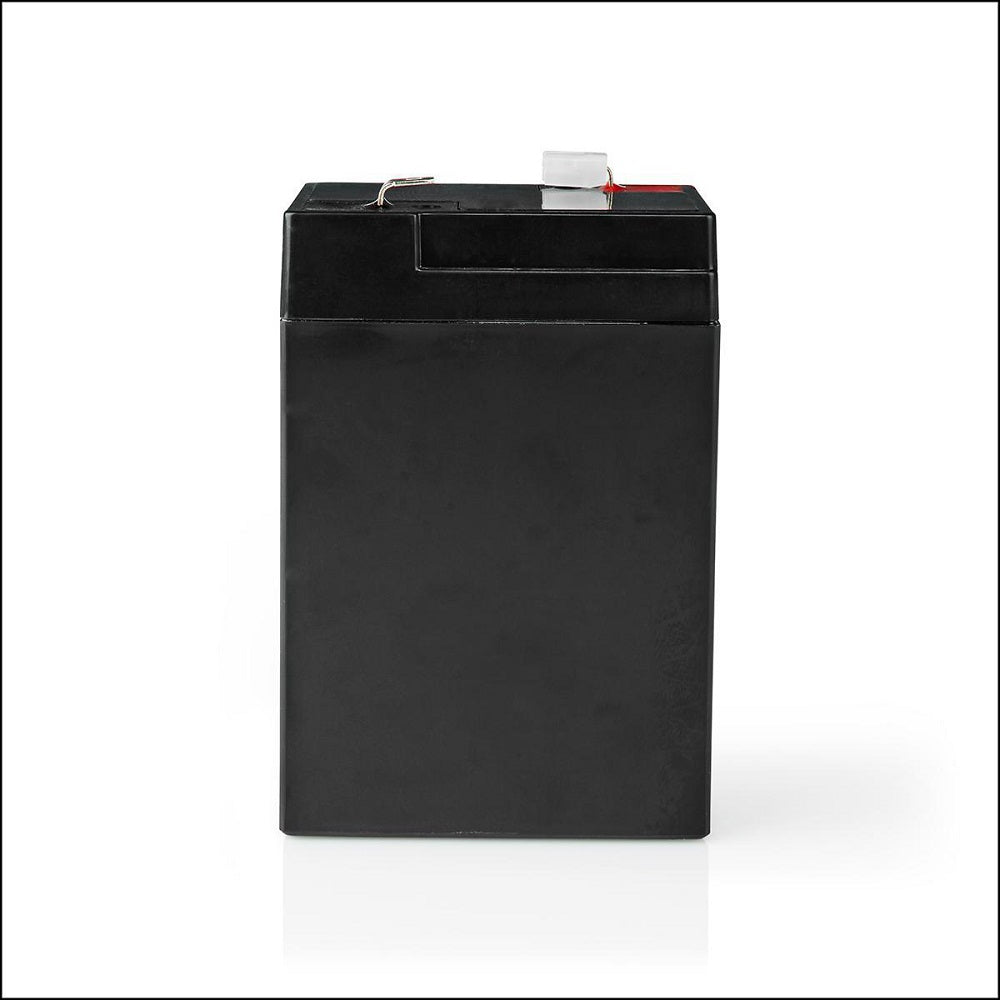 Batteria al piombo ricaricabile Piombo-acido ricaricabile 6V  4500mAh BALA45006V 5412810284122 ND1077