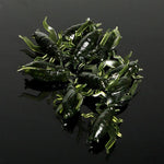 Kit di esche da pesca da 101 pezzi