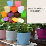 Vaso da fiori in resina plastica imitazione botte di legno da 10 pezzi con vassoio, diametro superiore: 9 cm, altezza: 6,5 cm, Top Diameter: 9cm