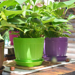 Vaso da fiori in resina plastica imitazione botte di legno da 10 pezzi con vassoio, diametro superiore: 9 cm, altezza: 6,5 cm, Top Diameter: 9cm