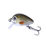 HENGJIA 5 pz 2,7 cm/1,5 g Luya Esche da pesca su roccia Kit esca bionica con scatola di plastica, Box008
