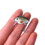 HENGJIA 5 pz 2,7 cm/1,5 g Luya Esche da pesca su roccia Kit esca bionica con scatola di plastica, Box008