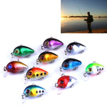 HENGJIA 10 pz 3 cm/1,5 g Luya Esche da pesca su roccia Kit esca bionica con scatola di plastica, Box014