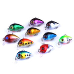 HENGJIA 10 pz 3 cm/1,5 g Luya Esche da pesca su roccia Kit esca bionica con scatola di plastica, Box014