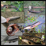HENGJIA Esche rigide in plastica da 8 cm Esche da pesca per calamari Esche per gamberetti in legno, 1# (Magenta+Dark Red), 2# (Orange + Yellow), 3# (Yellow), 5# (Magenta), 6# (Orange), 7# (Blue)