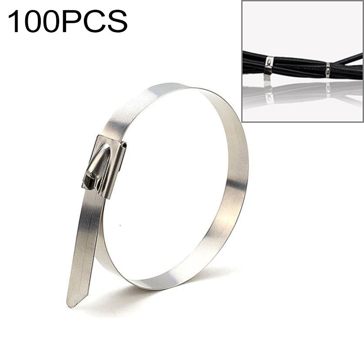 100 PZ 4.6x300mm Fascette metalliche in acciaio inossidabile Fascette Zip Wrap Cinghie termiche di scarico Tubo di induzione, 4.6x300mm