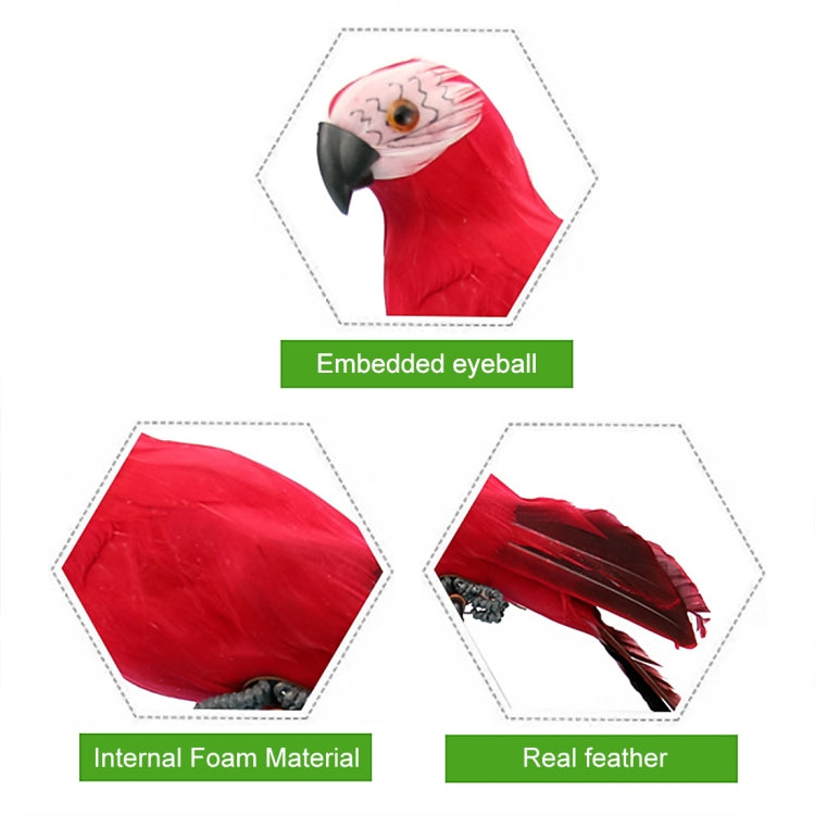 Decorazione orticola Simulazione pappagallo Simulazione Ara da 35 cm, 35cm (Green), 35cm (Blue), 35cm (Red), 35cm (Rose Red), 35cm (White), 35cm (Yellow)