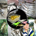 10 esche morbide da pesca da 4 cm, esche popper, Artificial Shrimp, Luminous Shrimp, Pink Shrimp, Green Shrimp, Transparent Shrimp