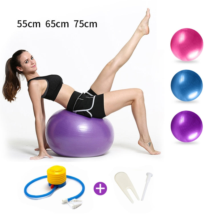 Palla da yoga grande antideflagrante ispessente Palla da fitness sportiva Palla da yoga incinta ambientale, diametro: 65 cm, 65cm(Pink), 65cm(Blue), 65cm(Purple)
