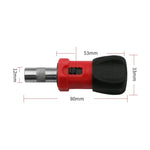Lotto di viti a cricchetto con interfaccia esagonale interna multifunzionale, Ratchet Screw Batch
