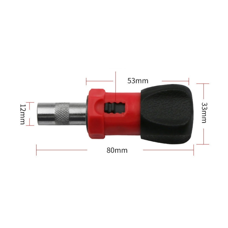 Lotto di viti a cricchetto con interfaccia esagonale interna multifunzionale, Ratchet Screw Batch