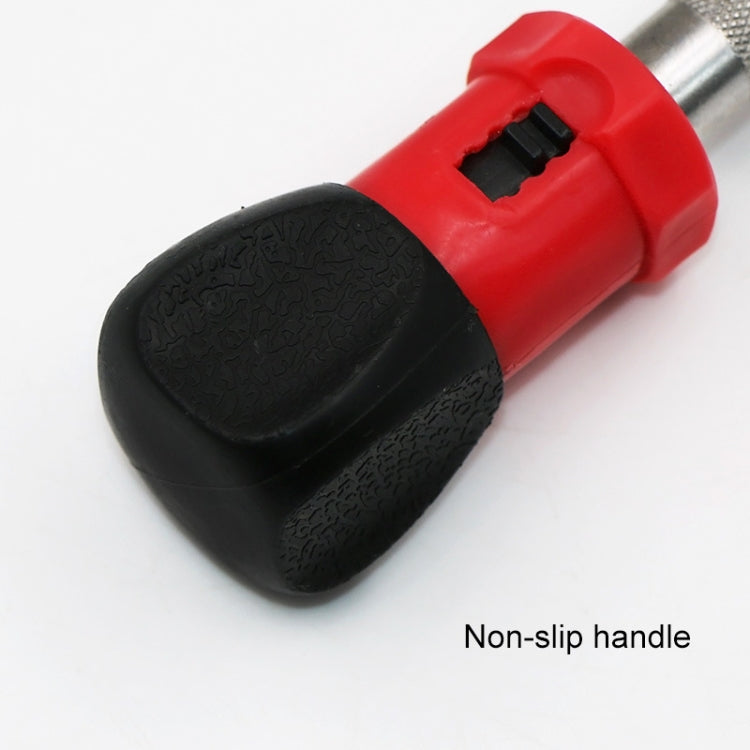 Lotto di viti a cricchetto con interfaccia esagonale interna multifunzionale, Ratchet Screw Batch