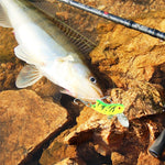 HENGJIA Esche da pesca con esche da pesca biomimetiche da 4,5 cm, consegna casuale dei colori, Grasshopper