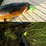 HENGJIA Esche da pesca con esca da pesca biomimetica per topi da 5 cm, consegna casuale di colori, Mouse