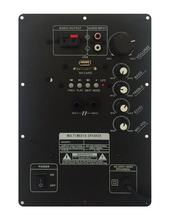 Modulo amplificatore PM100 per cassa acustica