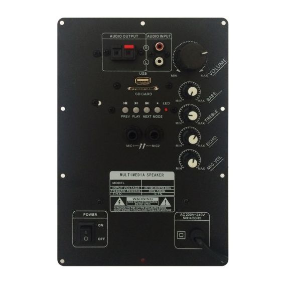 Modulo amplificatore PM100 per cassa acustica