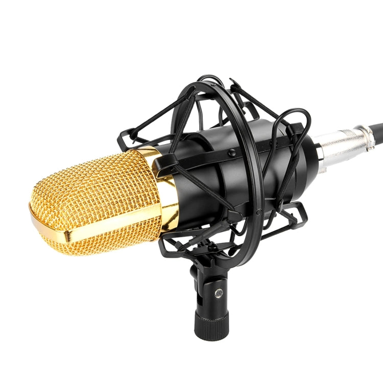 FIFINE F-700 Professional Condenser Audio Recording Microphone with Shock Mount for Studio Radio Broadcasting and Live Broadcasting, 3.5mm Earphone Port, Cable Length: 2.5m