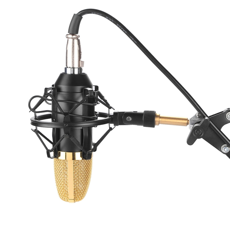 FIFINE F-700 Professional Condenser Audio Recording Microphone with Shock Mount for Studio Radio Broadcasting and Live Broadcasting, 3.5mm Earphone Port, Cable Length: 2.5m