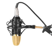 FIFINE F-700 Professional Condenser Audio Recording Microphone with Shock Mount for Studio Radio Broadcasting and Live Broadcasting, 3.5mm Earphone Port, Cable Length: 2.5m