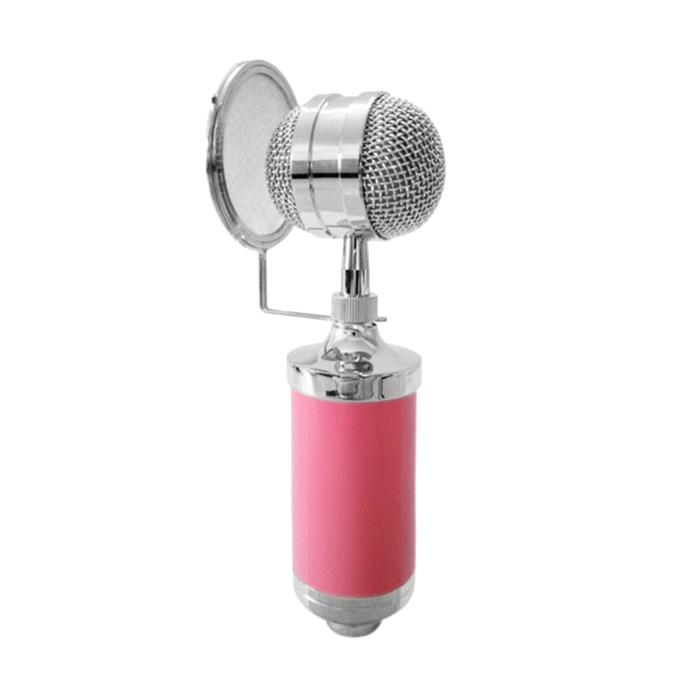 Microfono a condensatore 3000 Home KTV con filtro pop
