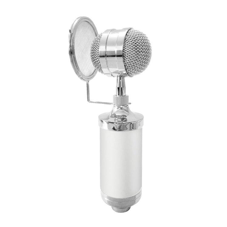 Microfono a condensatore 3000 Home KTV con filtro pop