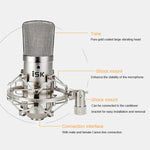 Microfono a condensatore ISK BM-800 per registrazione audio