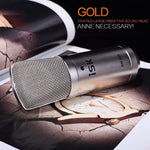 Microfono a condensatore ISK BM-800 per registrazione audio