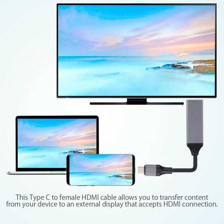 Cavo USB-C 3.1 a HDMI 4K 20 cm