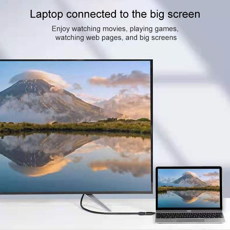 Adattatore USB-C a DisplayPort 4K 60Hz Onten 0T-9528T