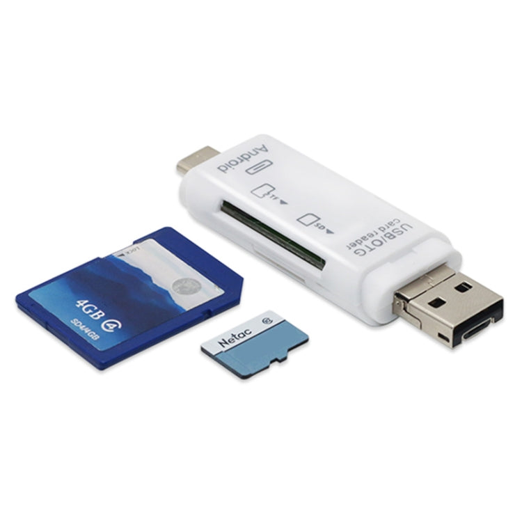 Lettore schede memoria 5 in 1 USB-C Type-C compatto