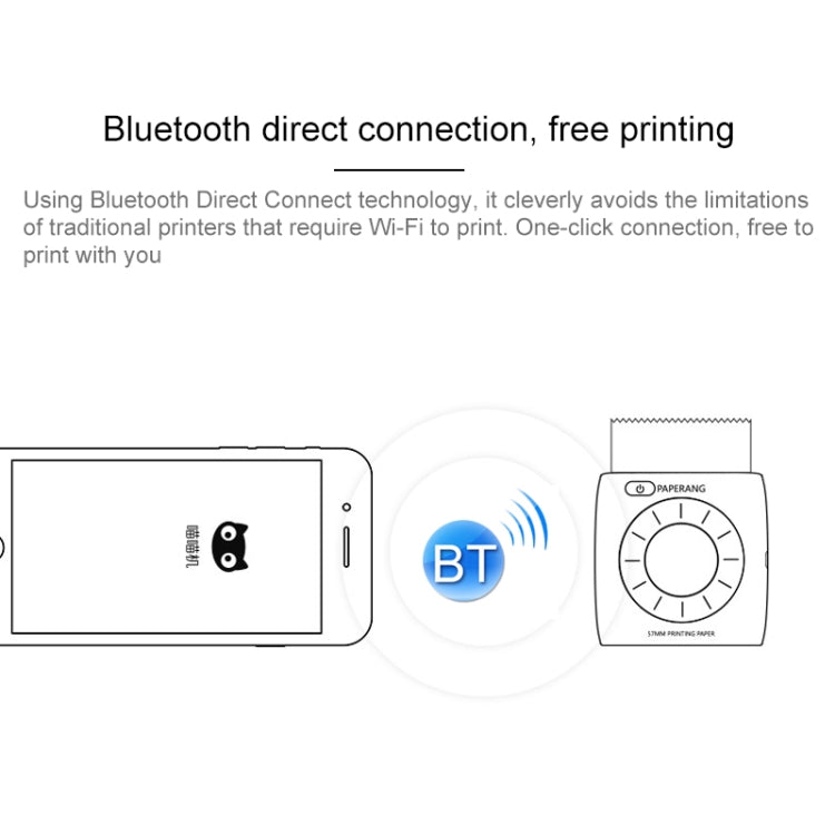 Stampante Bluetooth portatile PAPERANG P2 Stampante termica per telefono fotografico con connessione wireless, P2 White